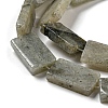Natural Labradorite Beads Strands G-M420-G05-01-4