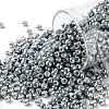TOHO Round Seed Beads X-SEED-TR08-0565-1
