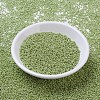 MIYUKI Round Rocailles Beads X-SEED-G007-RR0439-2