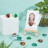 20Pcs 2 Style Natural Mixed Cabochons G-FH0001-21-2