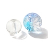 Mixed Style Glass Beads X1-GLAA-XCP0012-02D-2