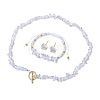 Opalite Chip with 304 Stainless Steel Beaded Necklace & Braided Bead Bracelet & Star Stud Earring FS-WG0BBF5-04-2