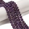 Natural Gemstone Beads Strands G-S035-8