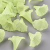 Transparent Acrylic Beads BSF796-C17-1