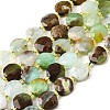 Natural Serpentine Beads Strands G-B094-A33-01-2
