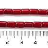 Synthetic Turquoise Beads Strands TURQ-G120-4x6mm-07-3