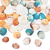  200G 4 Styles Dyed Natural Mixed Shell Beads Sets BSHE-NB0001-30-1