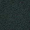 11/0 Grade A Baking Paint Glass Seed Beads X-SEED-N001-A-1041-2