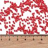 Baking Paint Glass Seed Beads X-SEED-S042-05B-91-4
