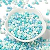 6/0 Opaque Baking Paint Glass Seed Beads X1-SEED-M012-02A-23-2