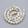 Natural Weathered Agate Beads Strands X-G-S249-09-8mm-2