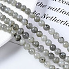 Natural Labradorite Round Beads Strands G-S158-6mm-4
