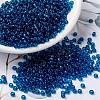 MIYUKI Round Rocailles Beads X-SEED-G008-RR0149-1