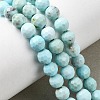 Natural Magnesite Beads Strands G-P598-E-8mm-01-1