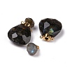 Teardrop Natural Labradorite Perfume Bottle Pendants G-H241-02D-G-1