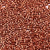 FGB 11/0 Grade A Glass Seed Beads X-SEED-S030-1210-2