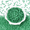 FGB Frosted Transparent Glass Seed Beads SEED-N013-05A-09-2