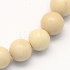 Natural Fossil Round Beads Strands G-S171-10mm-1