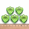 Transparent Acrylic Pendants TACR-T024-03B-925-4