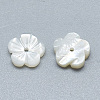 Natural White Shell Beads SSHEL-S260-010-2