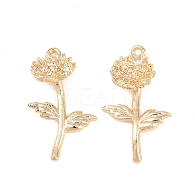 Brass Pendants KK-A288-01G-11-1