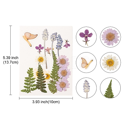Pressed Dried Flowers DIY-YWC0001-94-1