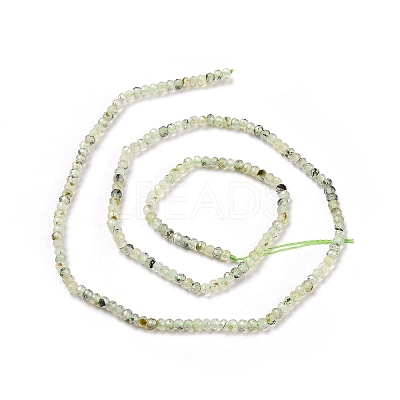 Natural Prehnite Beads Strands G-E194-06-1