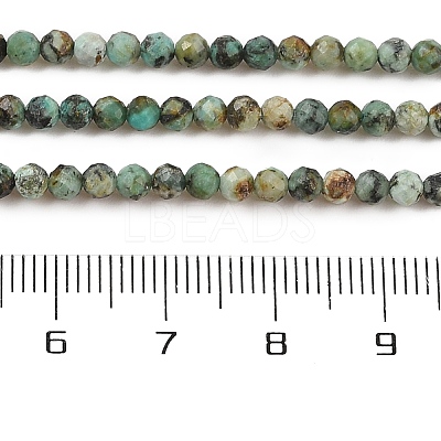 Natural African Turquoise(Jasper) Beads Strands X-G-P472-01-1
