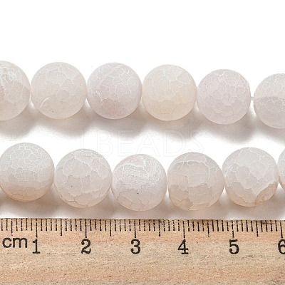 Natural Weathered Agate Beads Strands G-P538-A01-14-1