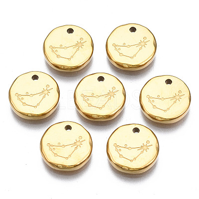 316 Surgical Stainless Steel Charms STAS-S116-418C-G-1