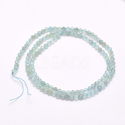 Natural Apatite Beads Strands G-I156-05-A-1