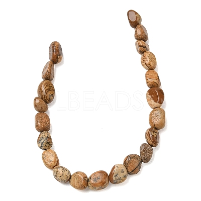 Natural Picture Jasper Beads Strands G-C286-A07-1