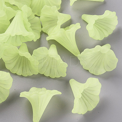 Transparent Acrylic Beads BSF796-C17-1