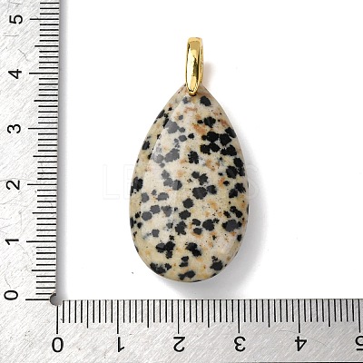 Natural Dalmatian Jasper Pendants G-B188-01G-04-1