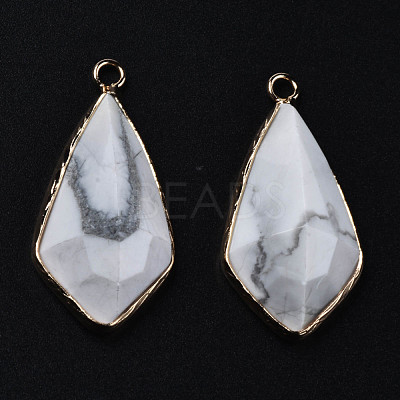 Natural Howlite Charms G-Q998-029C-1