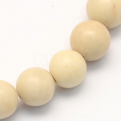 Natural Fossil Round Beads Strands G-S171-10mm-1
