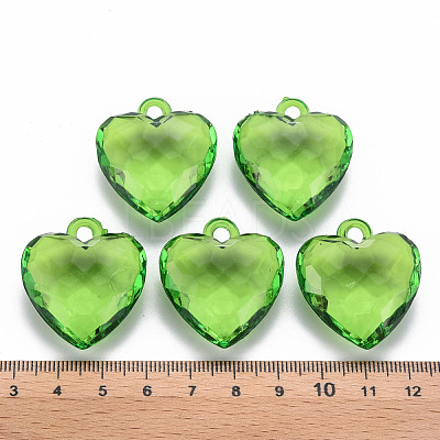 Transparent Acrylic Pendants TACR-T024-03B-925-1