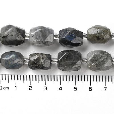 Natural Labradorite Beads Strands G-C105-A02-01-1