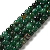 Natural Emerald Quartz Beads Strands G-D470-12A-1
