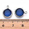 K9 Glass Charms GLAA-T023-37B-06-3