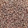 MIYUKI Delica Beads X-SEED-J020-DB2504-2