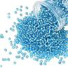 TOHO 8/0 Round Beads SEED-XTR08-0023-1