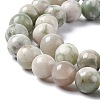 Natural Peace Jade Beads Strands G-G905-07-6MM-4