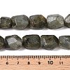 Natural Labradorite Beads Strands G-N342-146-5