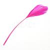 Fashion Goose Feather Costume Accessories FIND-Q040-21F-1