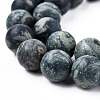 Frosted Natural Kambaba Jasper Beads Strands G-M272-14-8mm-5