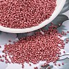 MIYUKI Delica Beads SEED-X0054-DB1841F-1