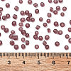 8/0 Frosted Round Glass Seed Beads X-SEED-A008-3mm-M16-3