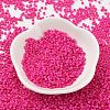 Baking Paint Glass Seed Beads X-SEED-S042-05B-68-2