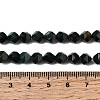 Natural Bloodstone/Heliotrope Beads Strands G-Z119-A16-01-6